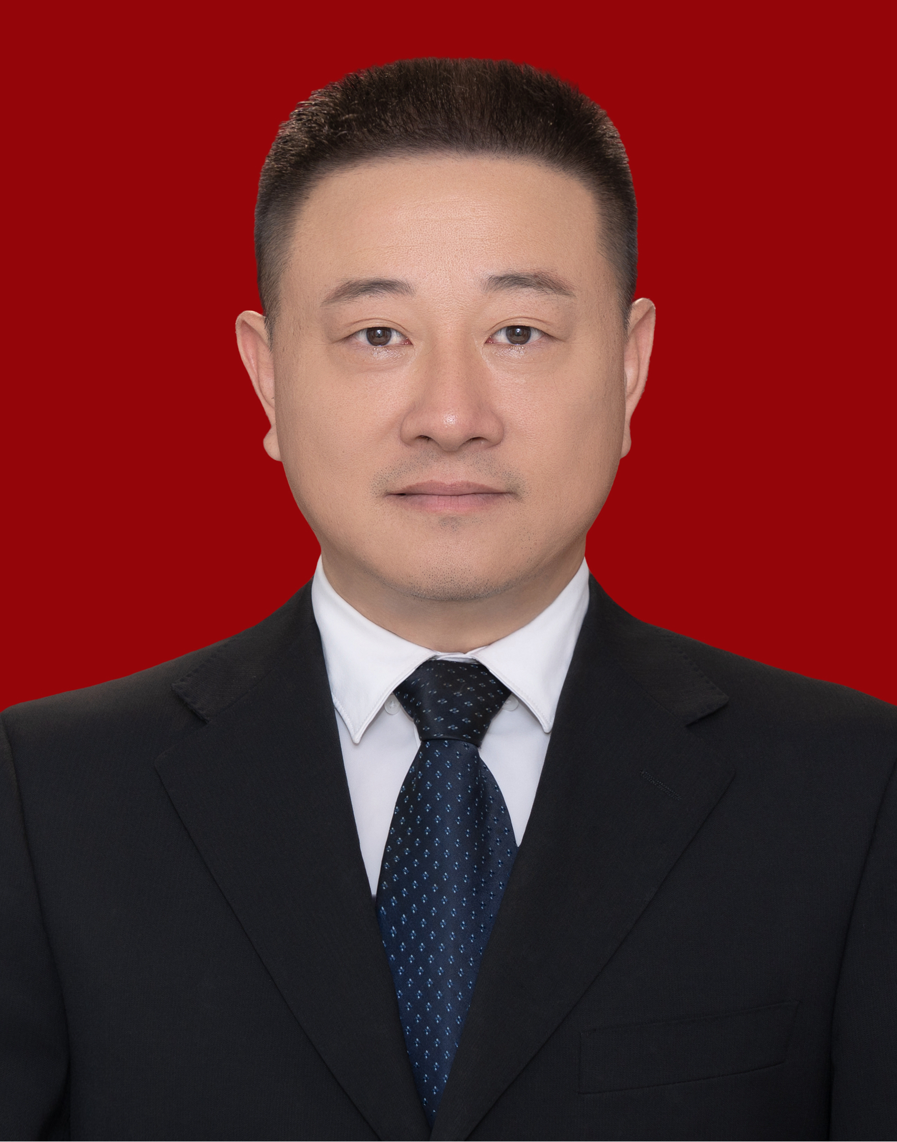 党委委员、副校长 杨珲